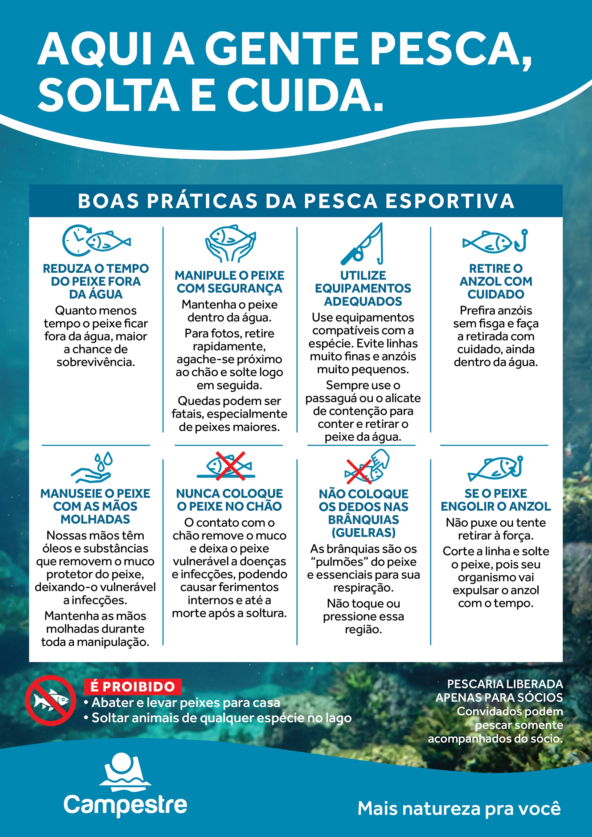 Peixes.jpg