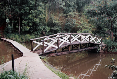 A005.jpg