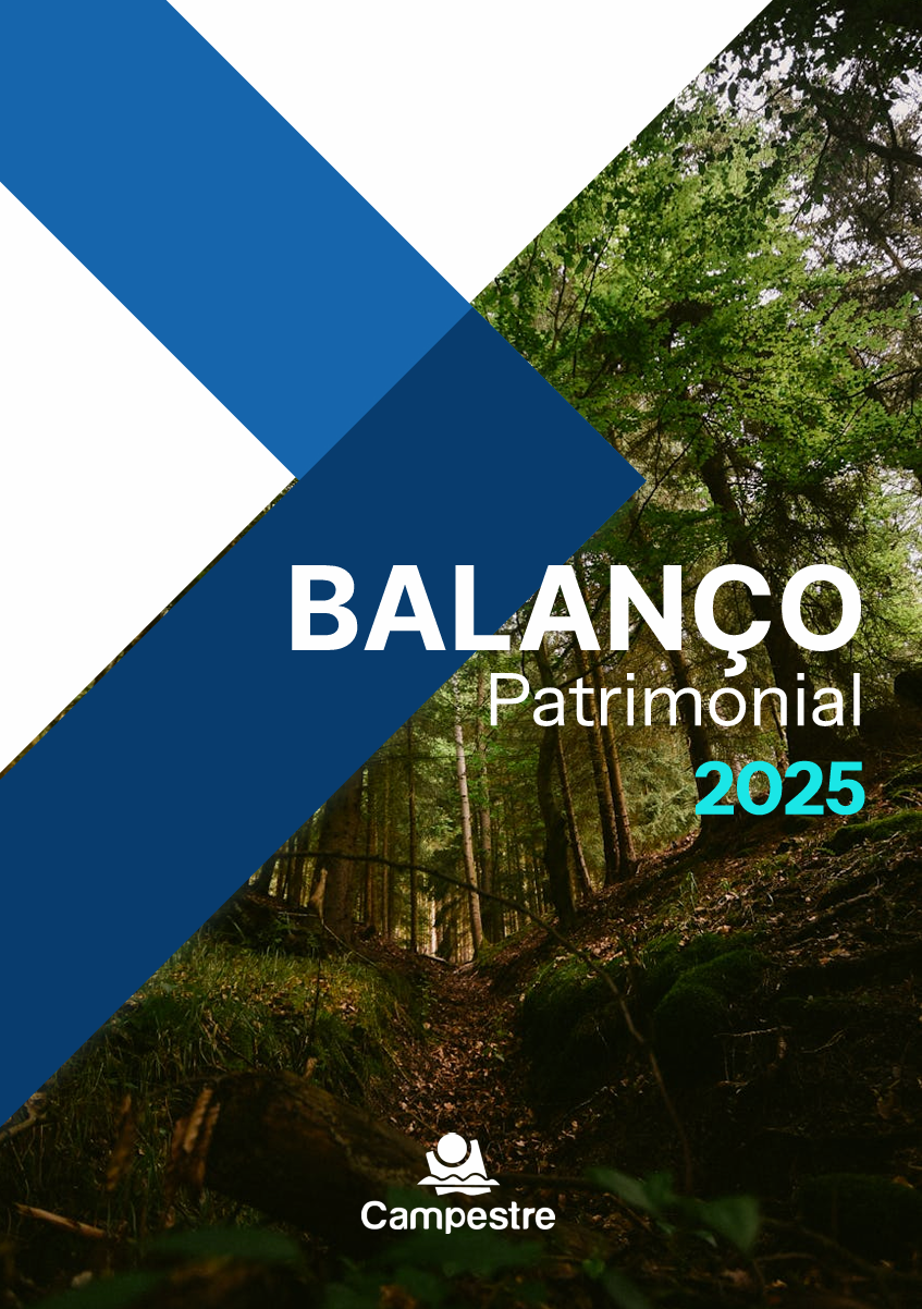 Balanço Patrimonial 2025.png