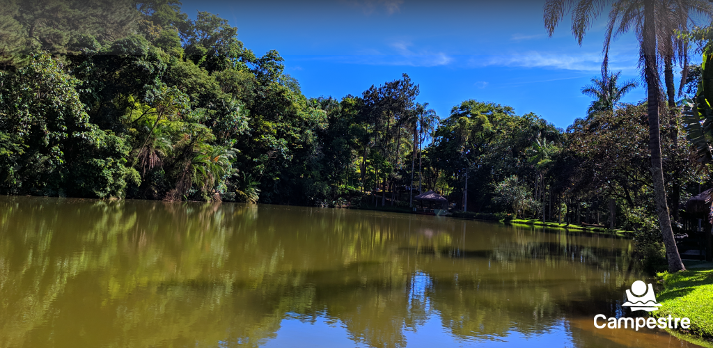 Cabeçalho CCBH14.png