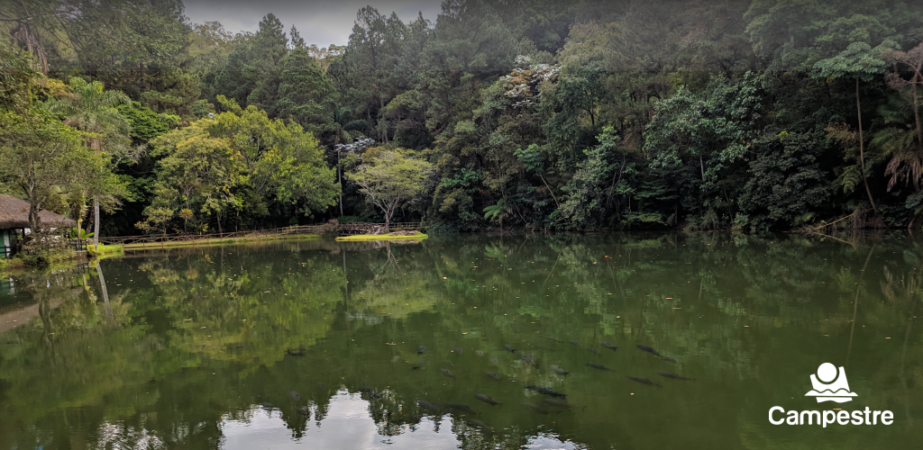 Cabeçalho CCBH6.png