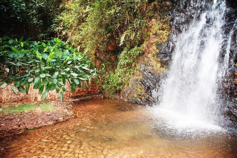 Cópia de Campestre e outros 178.jpg