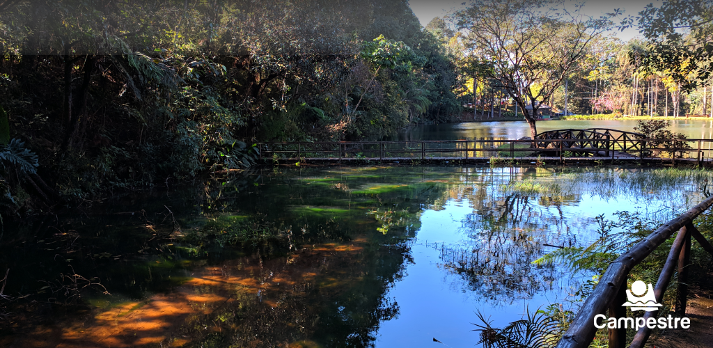 Cabeçalho CCBH8.png