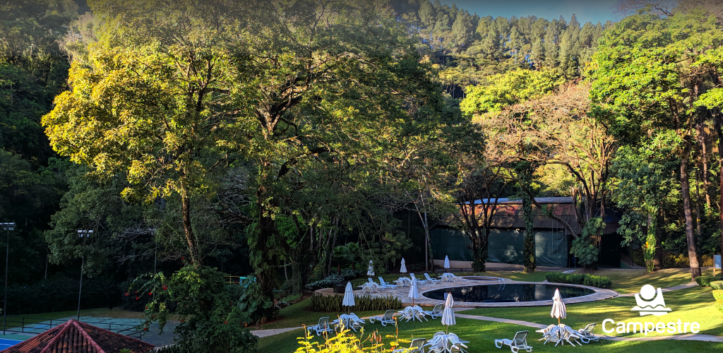 Cabeçalho CCBH9.png