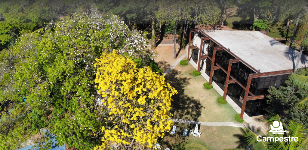 Cabeçalho CCBH2.png