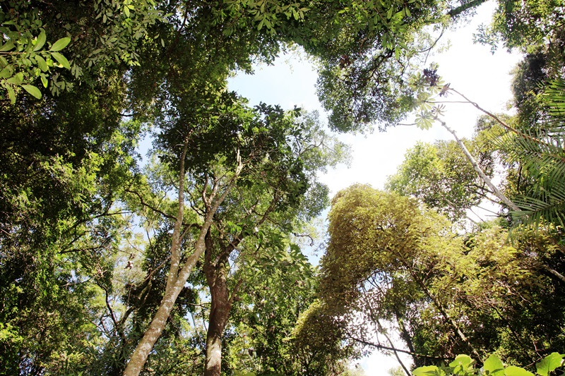 Campestre e outros 095.jpg